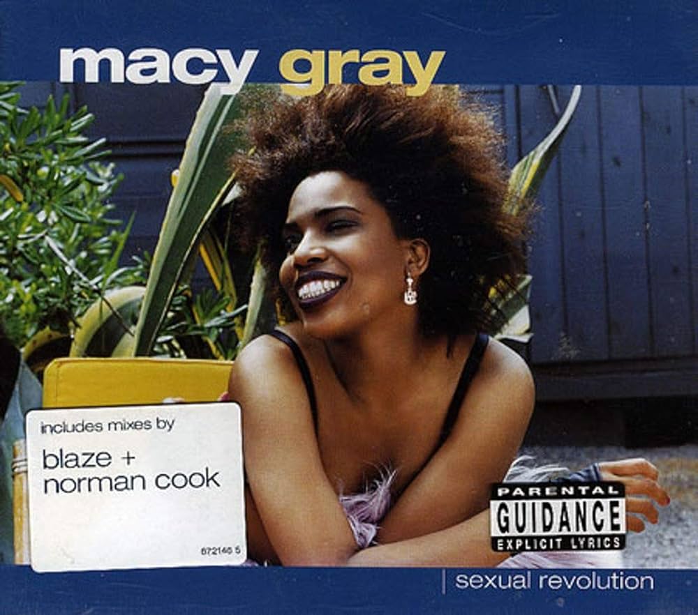 未使用  Macy Gray - Sexual Revolution / 12\